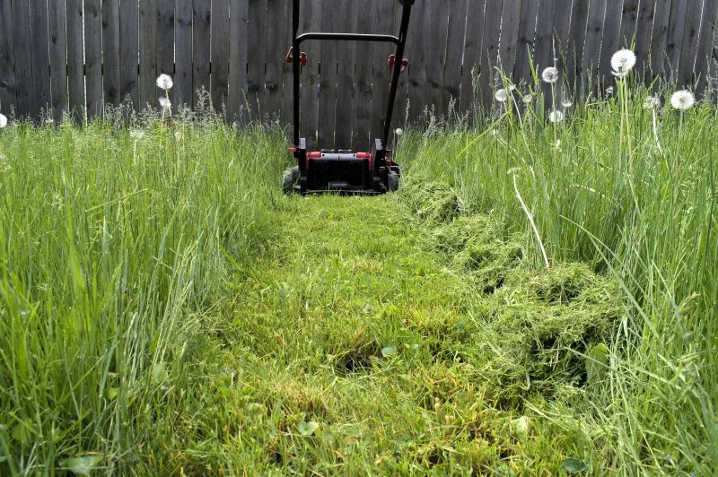 Tall Grass Mowing in Bowie, MD
