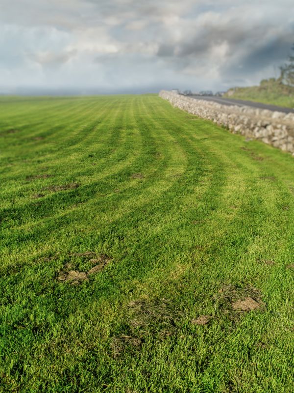 Field Mowing