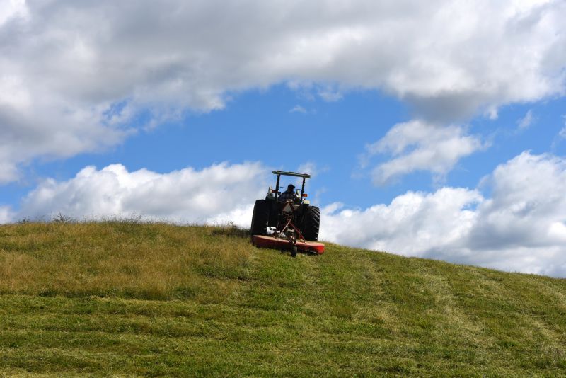 Bush Hog Mowing in Duluth, MN