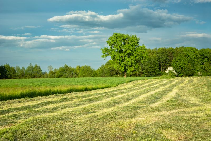 Field Mowing in Waldorf, MD