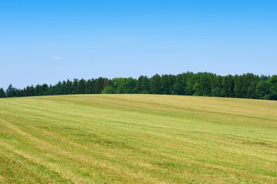 Maintain the Health of Your Field with Field Mowing!